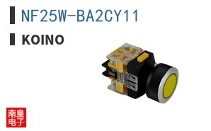 NF25W-BA2CY11 ͼƬ