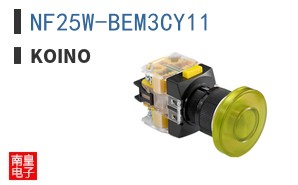 NF25W-BEM3CY11 ͼƬ