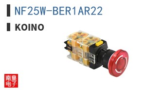 NF25W-BER1AR22 ͼƬ