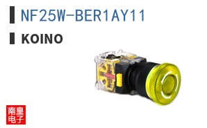 NF25W-BER1AY11 ͼƬ