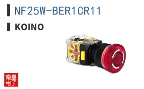 NF25W-BER1CR11 ͼƬ