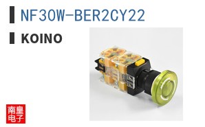 NF30W-BER2CY22 ͼƬ