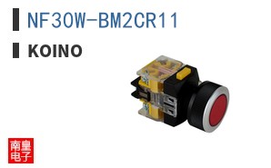 NF30W-BM2CR11 ͼƬ