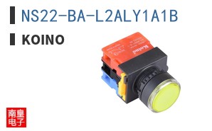 NS22-BA-L2ALY1A1B ͼƬ