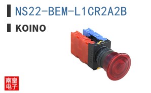NS22-BEM-L1CR2A2B ͼƬ