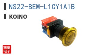 NS22-BEM-L1CY1A1B ͼƬ