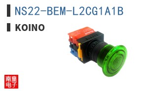 NS22-BEM-L2CG1A1B ͼƬ