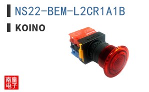 NS22-BEM-L2CR1A1B ͼƬ