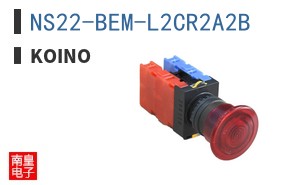 NS22-BEM-L2CR2A2B ͼƬ