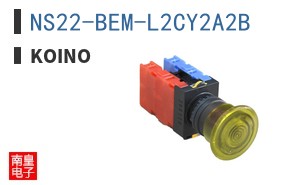 NS22-BEM-L2CY2A2B ͼƬ
