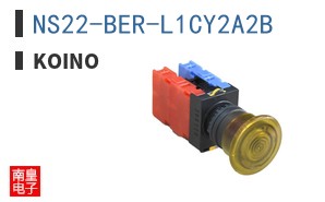 NS22-BER-L1CY2A2B ͼƬ