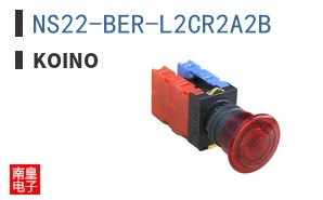 NS22-BER-L2CR2A2B ͼƬ