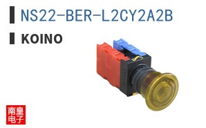 NS22-BER-L2CY2A2B ͼƬ