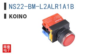 NS22-BM-L2ALR1A1B ͼƬ
