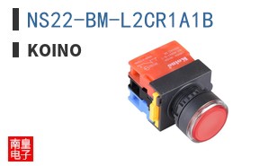 NS22-BM-L2CR1A1B ͼƬ
