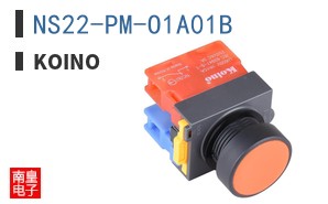 NS22-PM-O1A01B ͼƬ