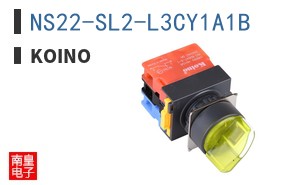 NS22-SL2-L3CY1A1B ͼƬ
