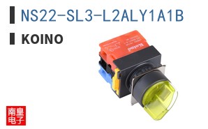 NS22-SL3-L2ALY1A1B ͼƬ