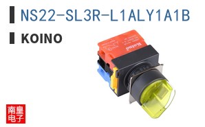 NS22-SL3R-L1ALY1A1B ͼƬ