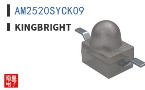 AM2520SYCK09 ͼƬ