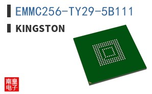 EMMC256-TY29-5B111 ͼƬ