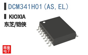 DCM341H01(AS,EL) ͼƬ