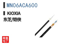 MN06ACA600 ͼƬ