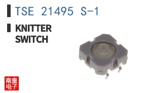 TSE 21495 S-1 ͼƬ