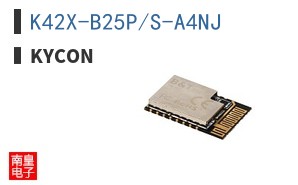 K42X-B25P/S-A4NJ ͼƬ