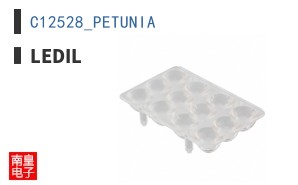 C12528_PETUNIA ͼƬ