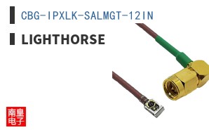 CBG-IPXLK-SALMGT-12IN ͼƬ