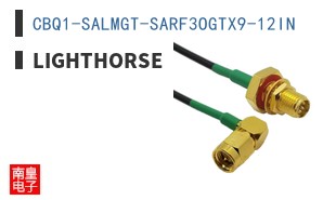 CBQ1-SALMGT-SARF3OGTX9-12IN ͼƬ