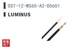 SST-12-WS65-A2-D5651 ͼƬ
