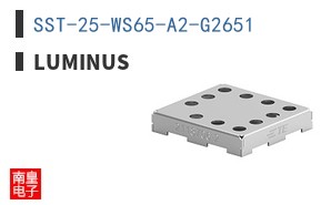 SST-25-WS65-A2-G2651 ͼƬ