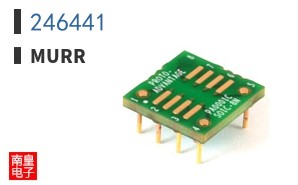 246441 ͼƬ