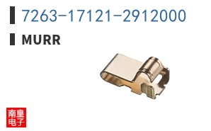 7263-17121-2912000 ͼƬ