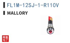 FL1M-12SJ-1-R110V ͼƬ