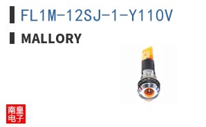 FL1M-12SJ-1-Y110V ͼƬ