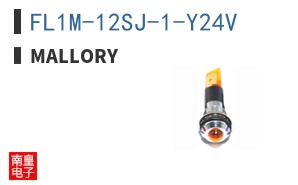 FL1M-12SJ-1-Y24V ͼƬ
