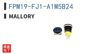 FPM19-FJ1-A1M5B24 ͼƬ