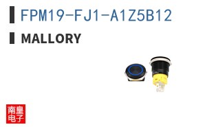 FPM19-FJ1-A1Z5B12 ͼƬ