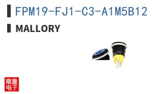 FPM19-FJ1-C3-A1M5B12 ͼƬ
