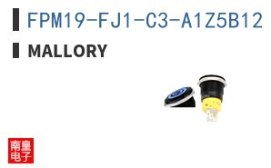 FPM19-FJ1-C3-A1Z5B12 ͼƬ