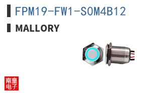 FPM19-FW1-S0M4B12 ͼƬ
