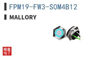 FPM19-FW3-S0M4B12 ͼƬ
