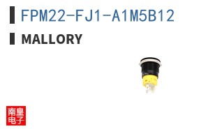 FPM22-FJ1-A1M5B12 ͼƬ