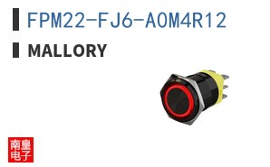 FPM22-FJ6-A0M4R12 ͼƬ