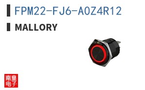 FPM22-FJ6-A0Z4R12 ͼƬ