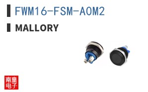 FWM16-FSM-A0M2 ͼƬ