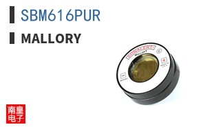 SBM616PUR ͼƬ